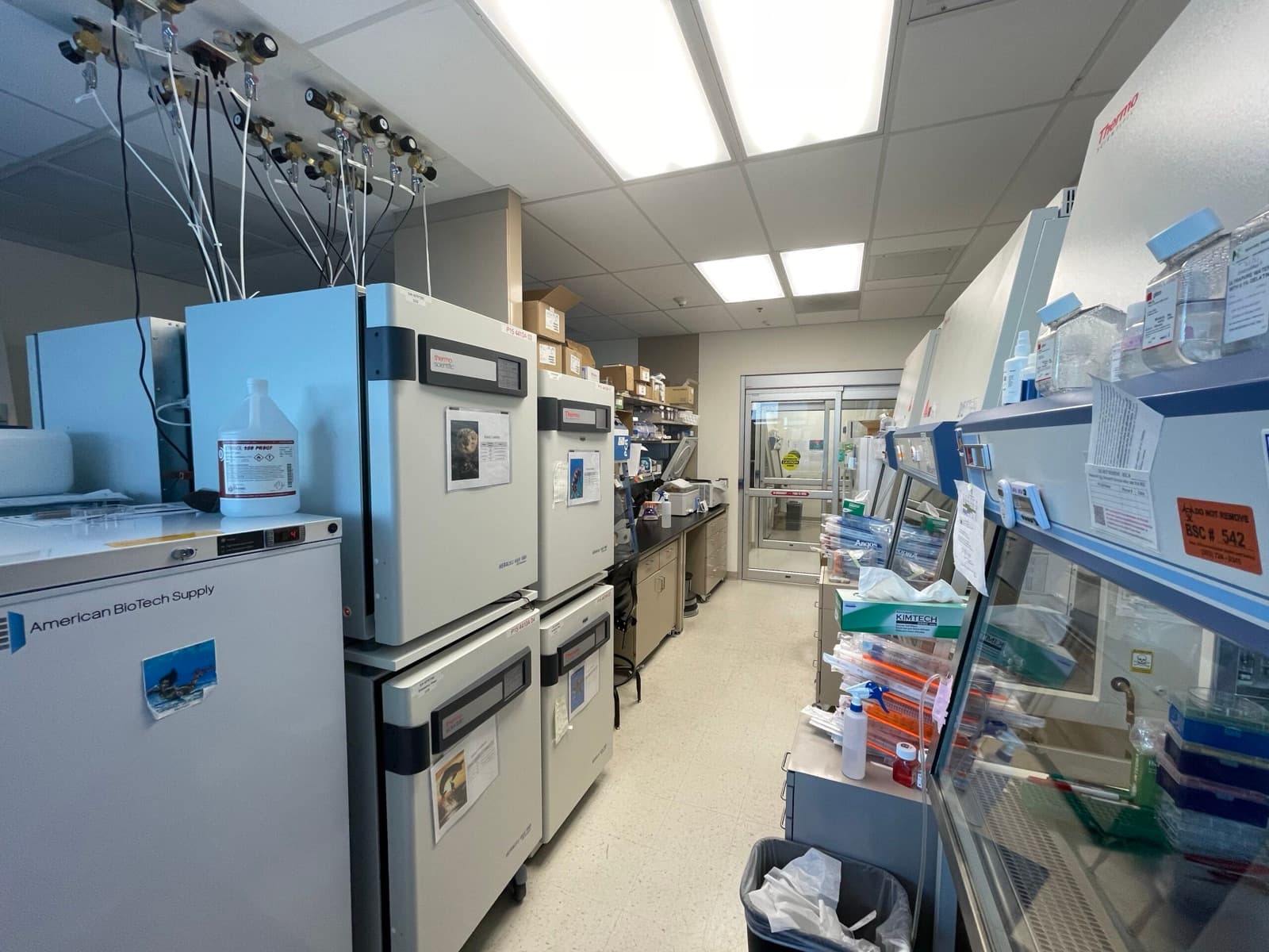 A tissue culture suite with biosafety cabinets and incubators