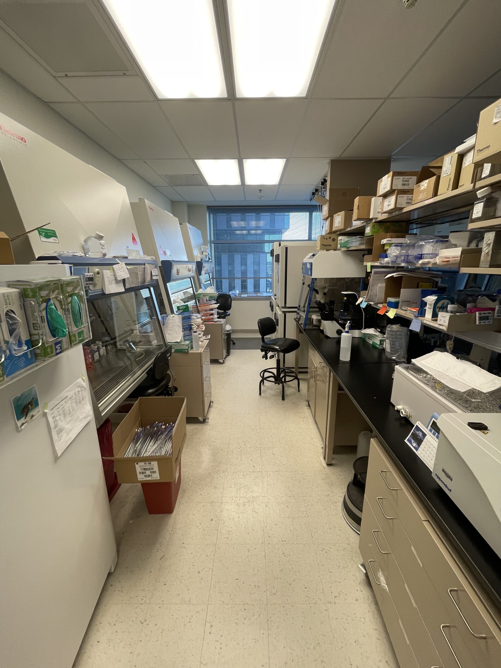 Main tissue culture suite