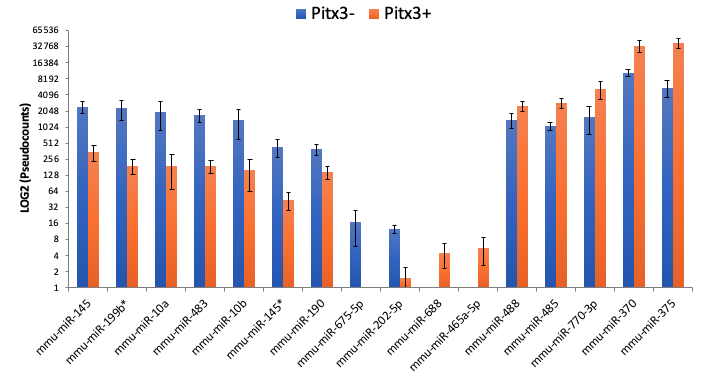 Pitx3+ vs Pitx3−