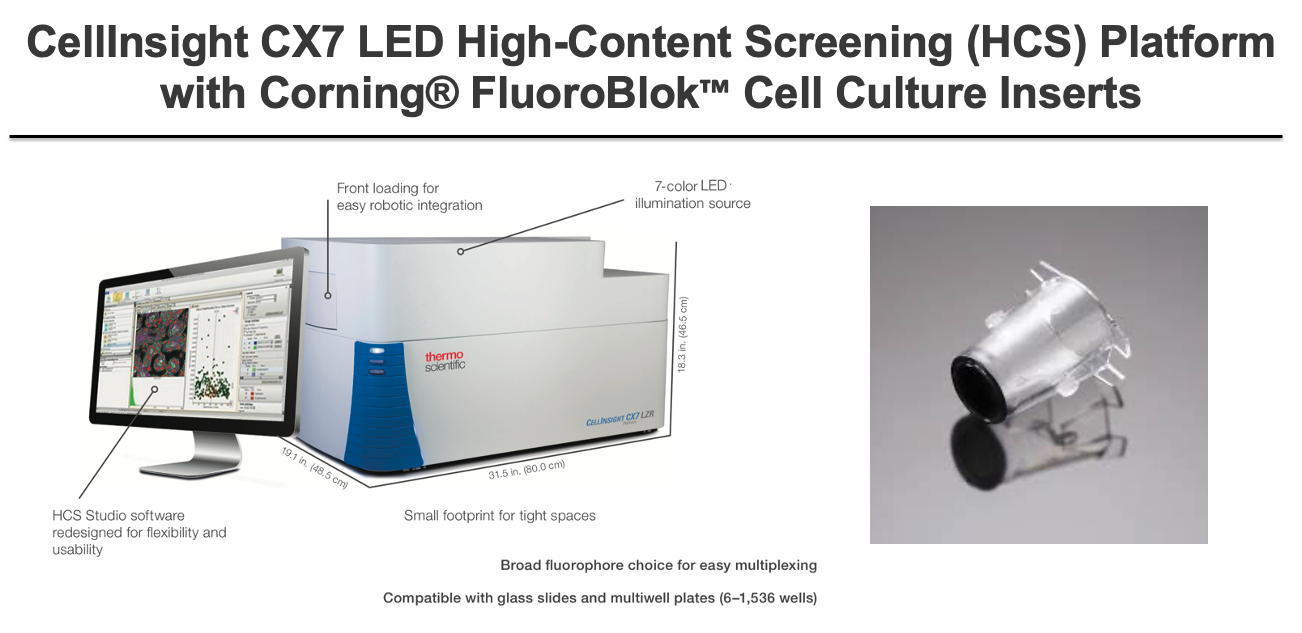 High-content migration assay